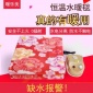 厂家**暖乐美智能电热毯恒温水暖毯主机暖身水褥子热水毯批发